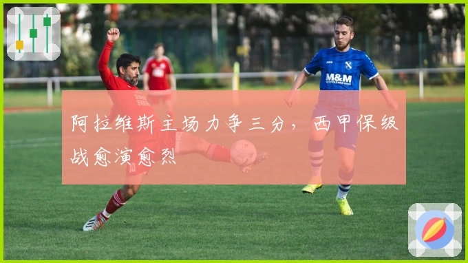 阿拉维斯主场力争三分，西甲保级战愈演愈烈