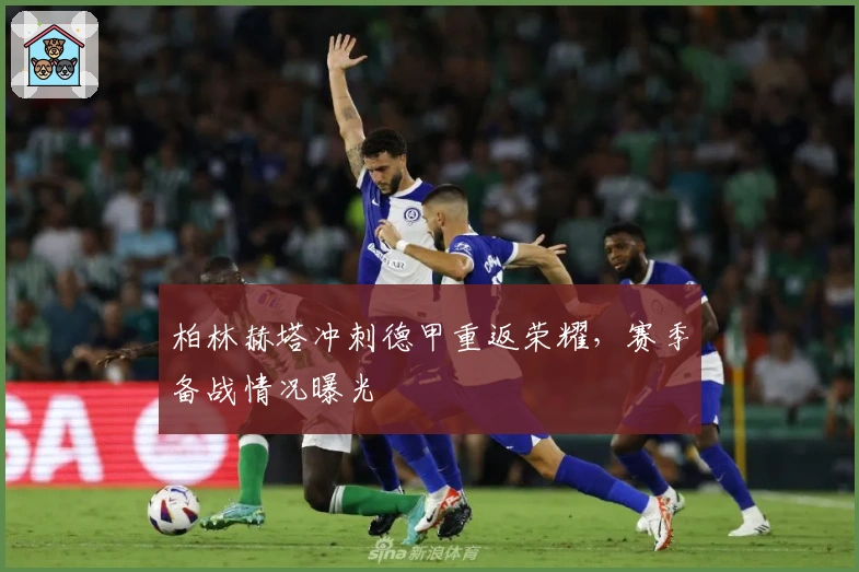 柏林赫塔冲刺德甲重返荣耀,赛季备战情况曝光