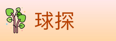 球探 Logo